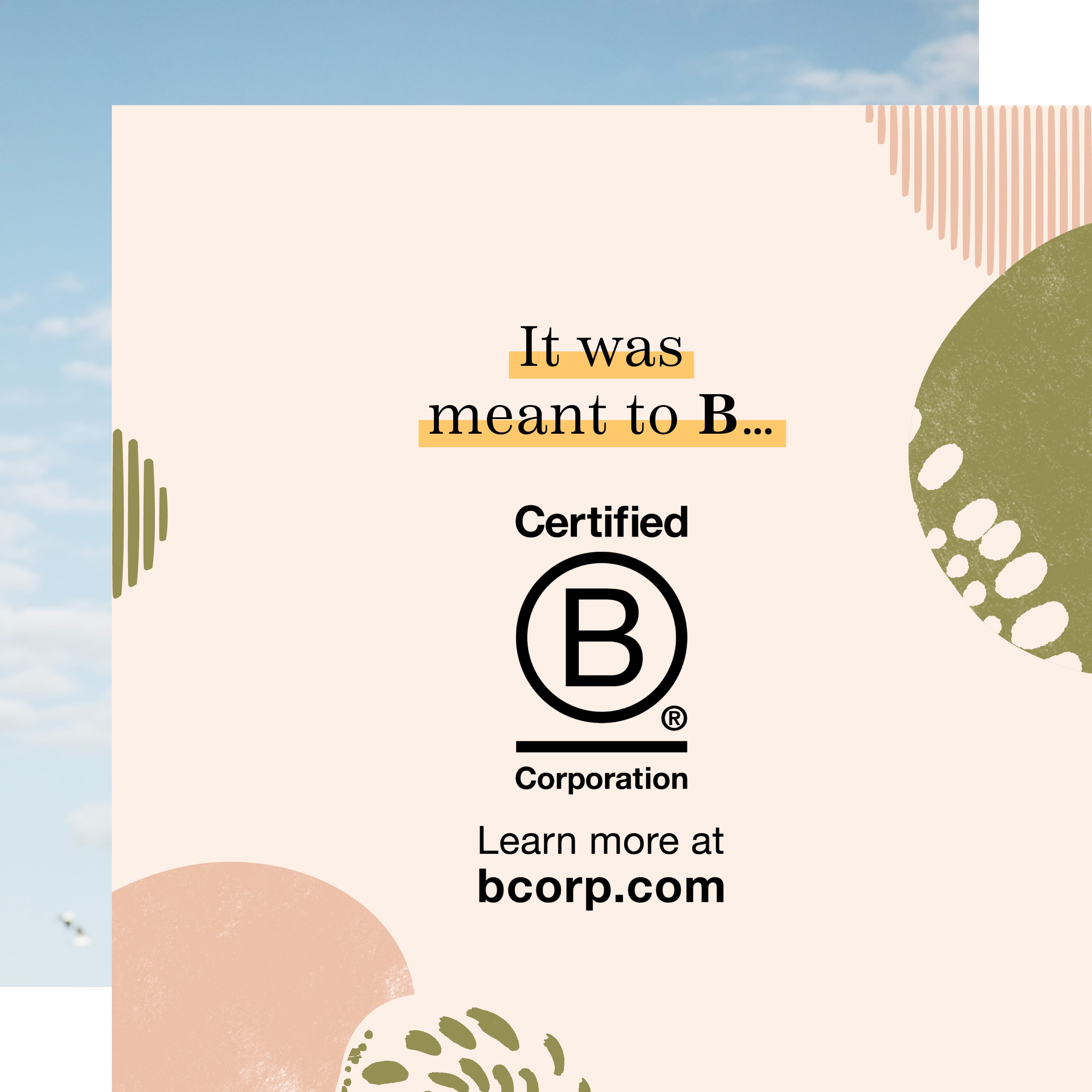 B Corp